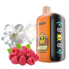 Elf Bar GH23000 Жасмин Малина 5%
